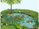 Projet Aménagement Jardin : Bassin Naturel Au Jardin ... serapportantà Amenagement De Bassins De Jardin
