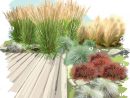 Projet Aménagement Jardin : Collection De Graminées ... pour Amenagement Jardin Avec Graminees