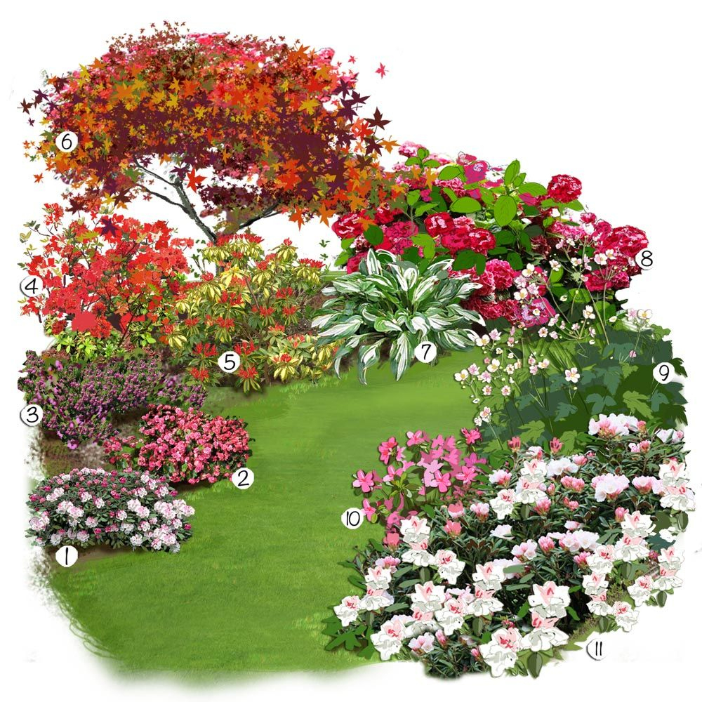 Projet Aménagement Jardin : Les Plantes De Terre De Bruyère ... avec Plante Jardin Japonais