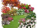 Projet Aménagement Jardin : Les Plantes De Terre De Bruyère ... dedans Plante Pour Jardin Japonais