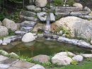 Projet Aménagement Paysager | Jardin D'eau | Maxhorti avec Creation Cascade Bassin Jardin