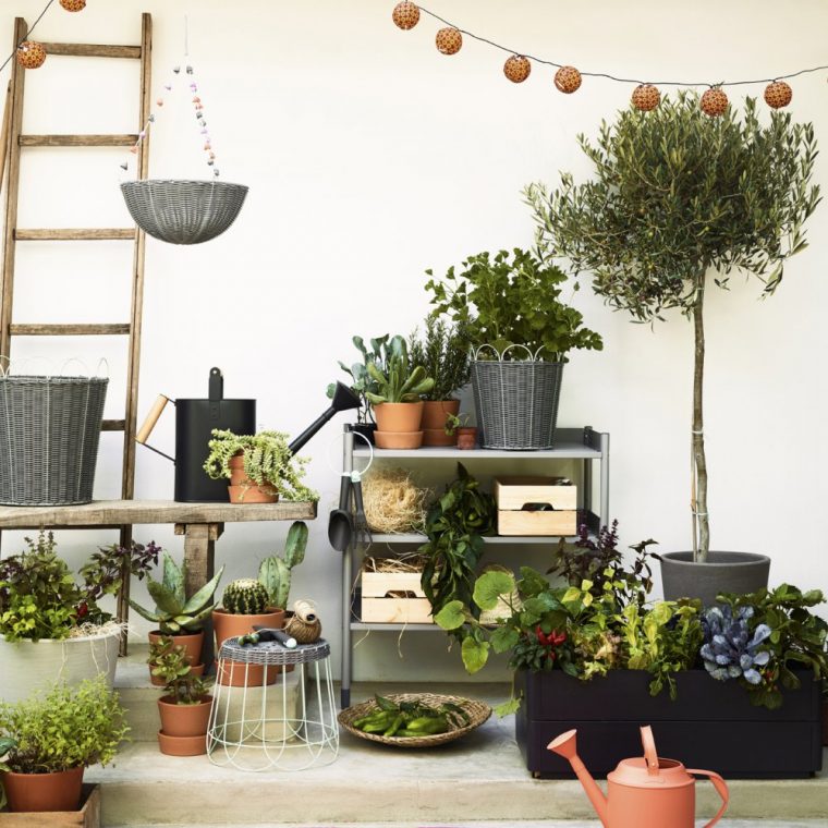 Quels Arbustes Pour Un Balcon ? – Marie Claire destiné Arbustes Decoration Jardin