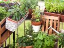 Quels Légumes Faire Pousser Sur Son Balcon ? La Ferme De ... à Faire Un Jardin Sur Son Balcon