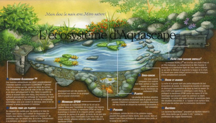 Réalisations – Jardins Aquadesign serapportantà Entretien D Un Bassin De Jardin