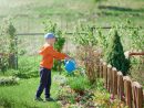 Réaliser Un Système D'irrigation Pour Bien Entretenir Son ... destiné Arroseur De Jardin