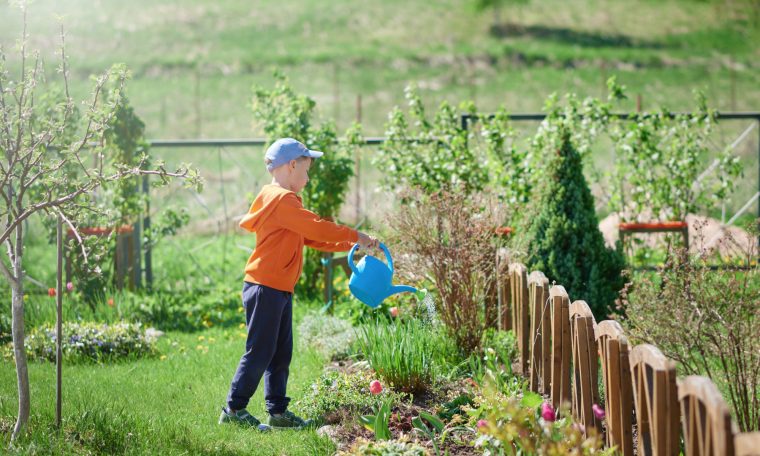 Réaliser Un Système D'irrigation Pour Bien Entretenir Son … destiné Arroseur De Jardin
