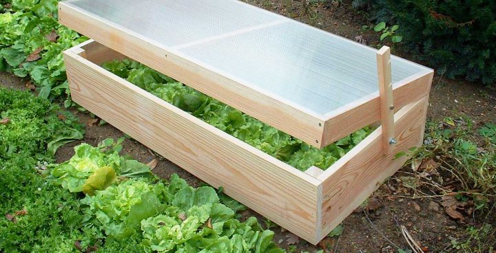 Récoltez Vos Légumes Plus Tôt En Suivant Les Conseils De … concernant Chassis De Jardin