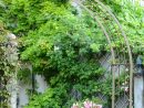 Repensez L'aménagement De Votre Jardin | Schilliger tout Arceaux Jardin