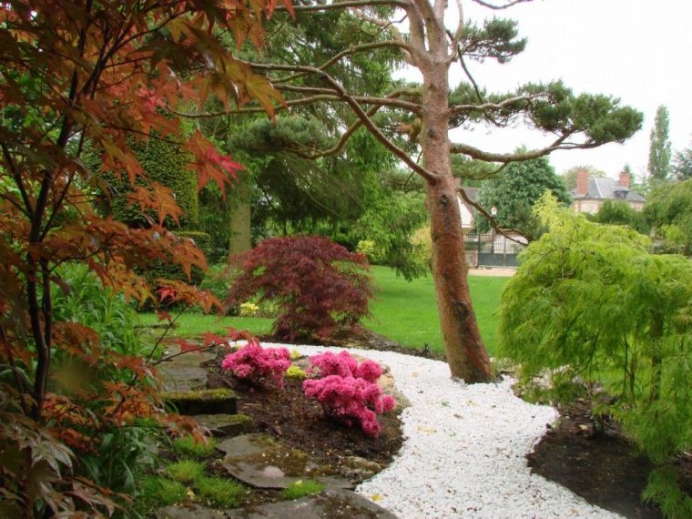 Retenues Talus Bois Plantes Aromatiques Jardin Médiéval … destiné Plante Jardin Japonais
