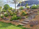 Rocaille De Jardin - Plante De Rocaille | Paysages Conseil dedans Amenagement Jardin Avec Pierres