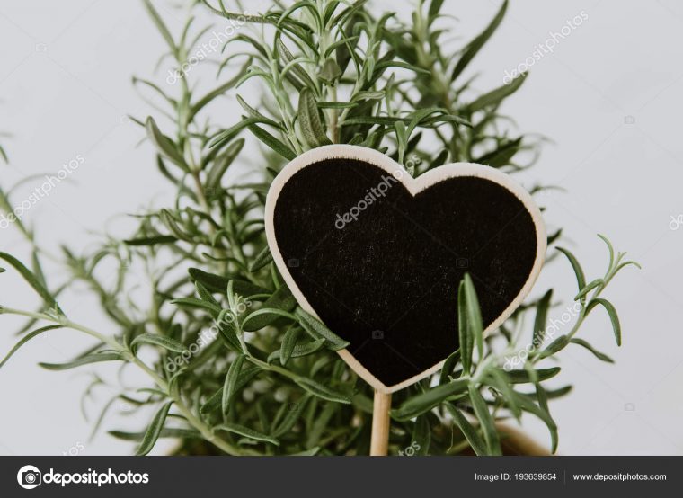Romarin Pot Toile Jute Avec Cœur Minime Concept Herb … destiné Toile Jute Jardin