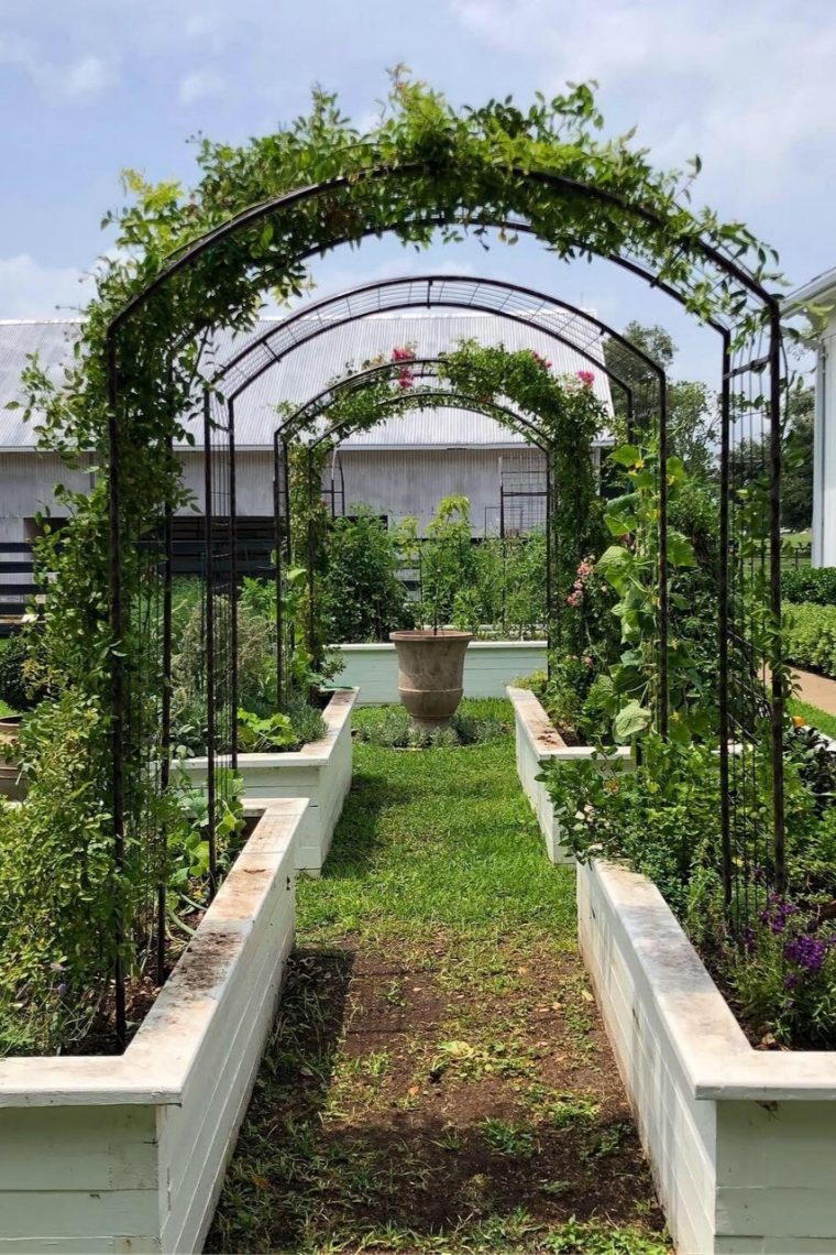 Rose Trellis: Jardin Rose Arch | Gardener's Supply | Garden … tout Arches De Jardin