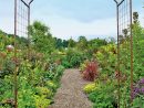 Rose Trellis: Jardin Rose Arch | Gardener's Supply intérieur Arches De Jardin