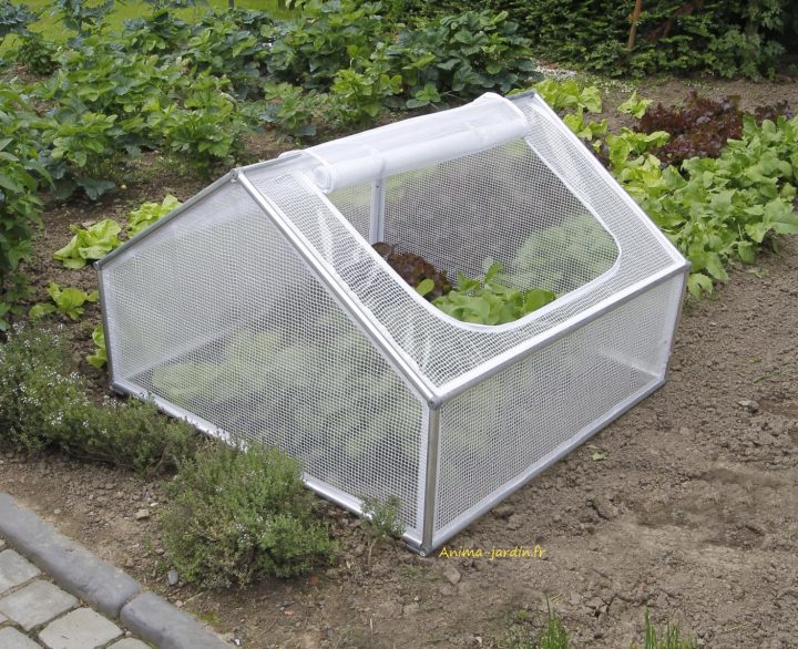 Serre Chassis De Jardin, 1M², Pour Semer Des Légumes, Pas … avec Petite Serre De Jardin Pas Cher