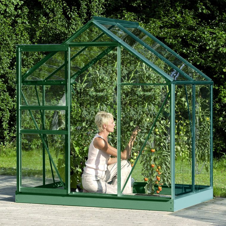 Serre De Jardin En Verre Trempé Allium Venus 2,50 M². Aluminium Laqué Vert  – 610.00€ Livraison Comprise encequiconcerne Serres De Jardin En Verre