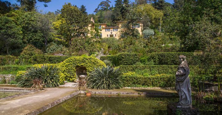 Serre De La Madone : Un Jardin Extraordinaire À Menton pour Idée De Génie Jardin