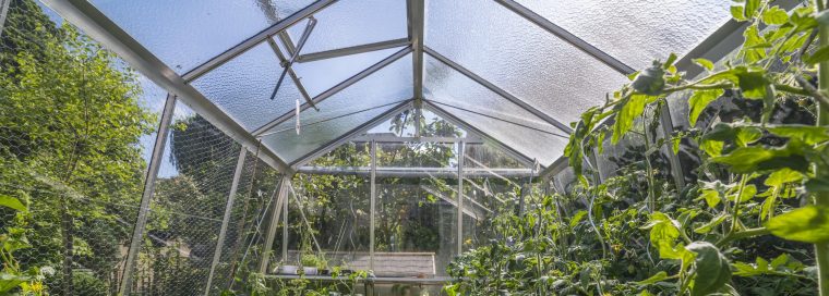 Serres De Jardin : Serres En Aluminium, Verre, Plastique … avec Serre De Jardin Adossée Au Mur