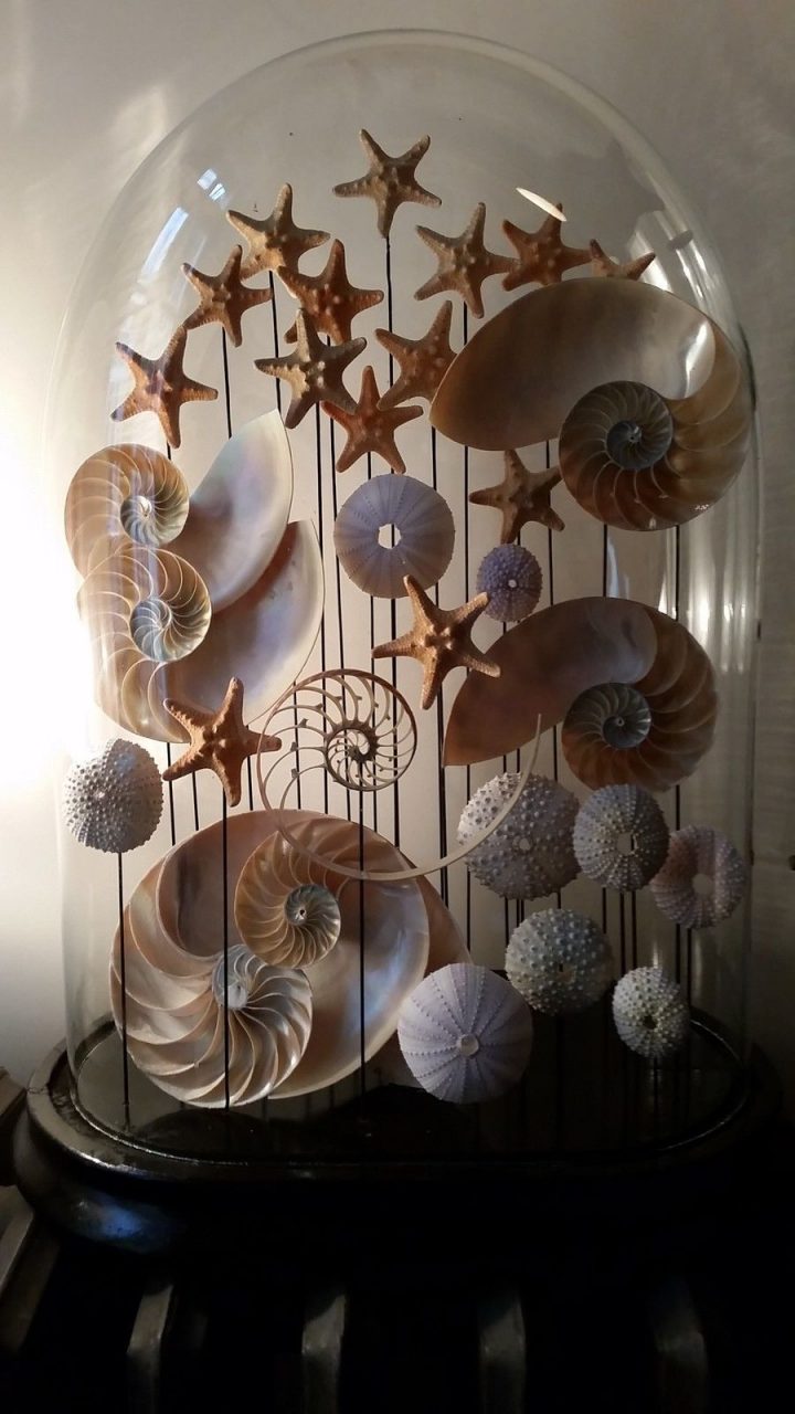 Shell Art Cloche. … | Plaj El Sanatları, Plaj Evleri Ve … dedans Nain De Jardin Design