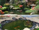 Small Koi Pond Design Ideas (Pond Rocks) | Jardin D'eau ... à Bac A Poisson Jardin