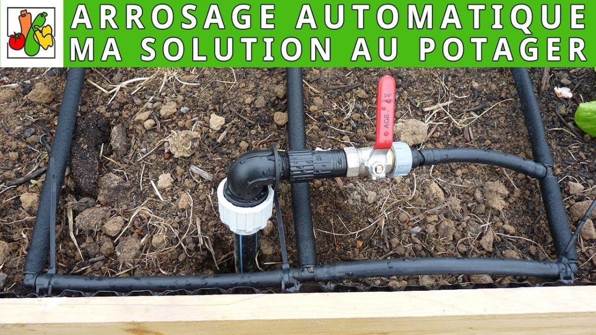 Solution D'arrosage Automatique Au Potager dedans Systeme Arrosage Jardin Potager