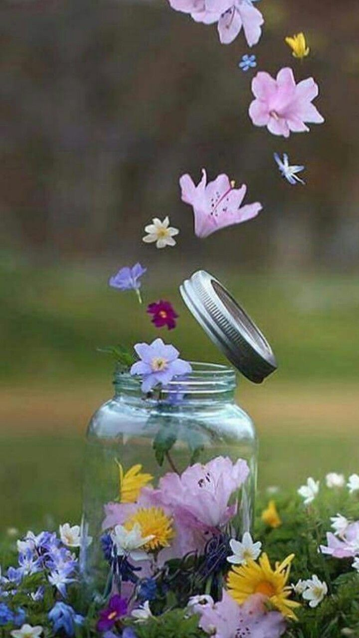 Spring Flower Explosion! | Fleur Jardin, Belles Images Et Fleurs à Fleurs À Couper Au Jardin