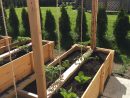 Support À Tomates | Bac Jardiniere, Bac De Jardinage, Jardin ... avec Bac De Jardin En Bois