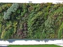 Tacoma Goodwill | Vertical Garden Patrick Blanc | Vertical ... encequiconcerne Treillis Blanc Jardin
