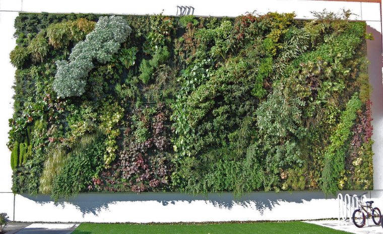 Tacoma Goodwill | Vertical Garden Patrick Blanc | Vertical … encequiconcerne Treillis Blanc Jardin