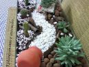 Terrario | Jardines, Jardinería En Macetas Y Suculentas tout Jardin Cactus Miniature