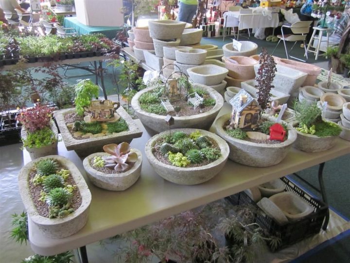 The Papercrete Potter | Etli Yapraklı Bitki Bahçesi, Cement … encequiconcerne Vermiculite Jardin