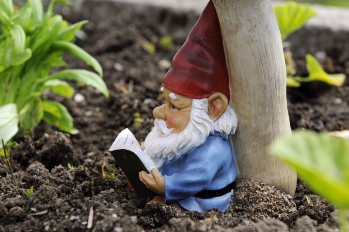 The Story Behind Garden Gnomes Is More Compelling Than You … encequiconcerne Nain De Jardin Fuck