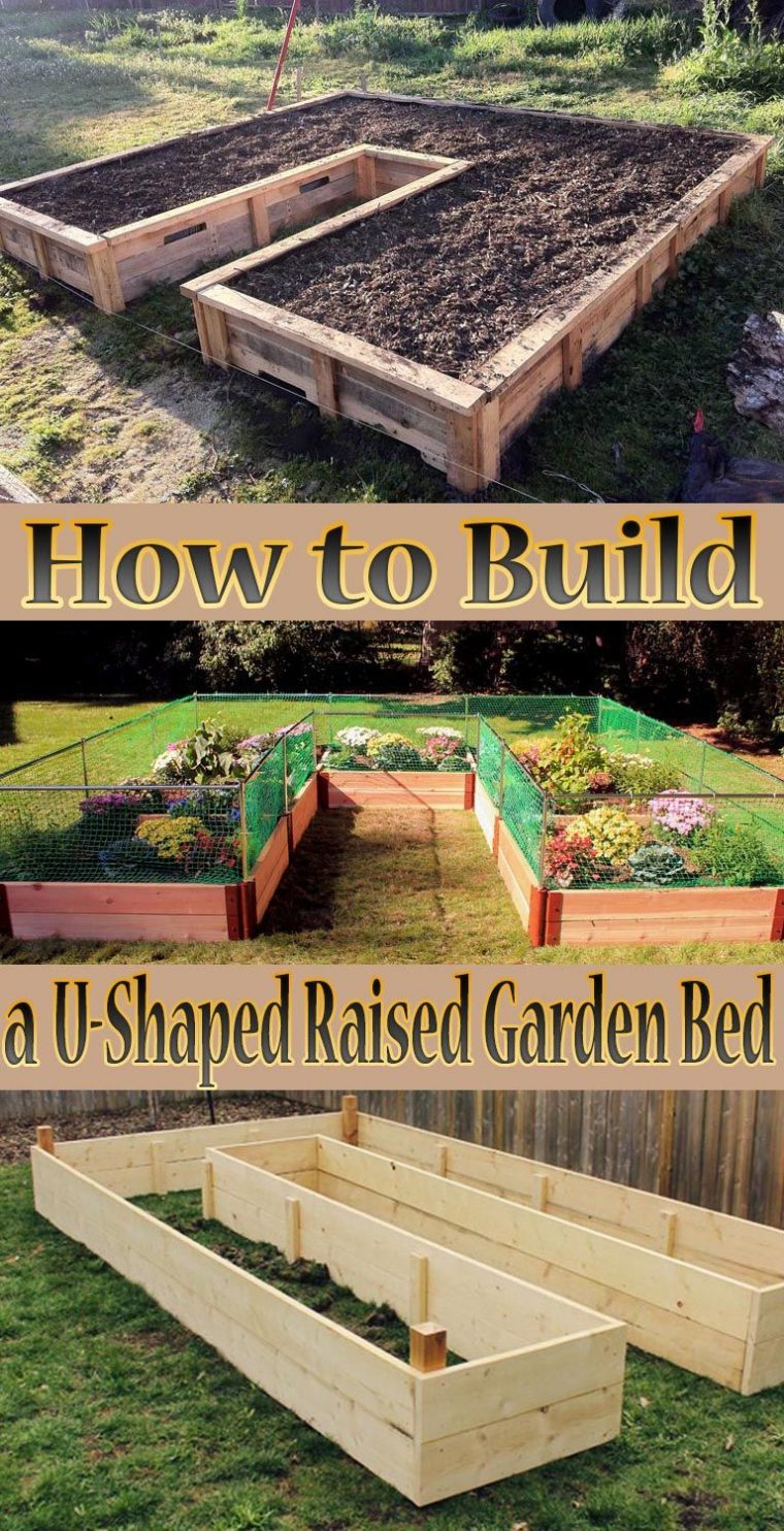 Tips How To Build A U-Shaped Raised Garden Bed. Creating … pour Jardin Surélevé Bois