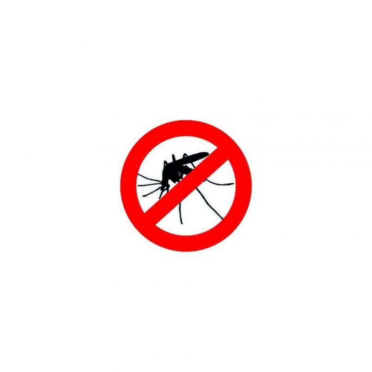 Traitement Anti-Moustiques De Jardin 100Ml destiné Traitement Moustique Jardin