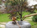 Tsukubaï (Fontaine Japonaise En Granit) | Jardins Du Japon ... concernant Fontaine Jardin Japonais