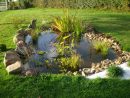 Un Bassin Dans Mon Jardin, Pourquoi Pas ! - Lavande Violette dedans Amenagement De Bassins De Jardin