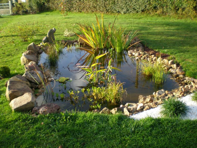 Un Bassin Dans Mon Jardin, Pourquoi Pas ! – Lavande Violette dedans Amenagement De Bassins De Jardin