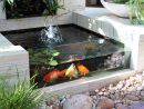Un Bassin De Jardin Avec Une Paroi Transparente, Comme Un ... pour Petit Jardin Avec Bassin