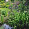 Un Jardin Boudoir En Ville | Jardins, Joli Jardin Et Beaux ... avec Plante Bassin De Jardin