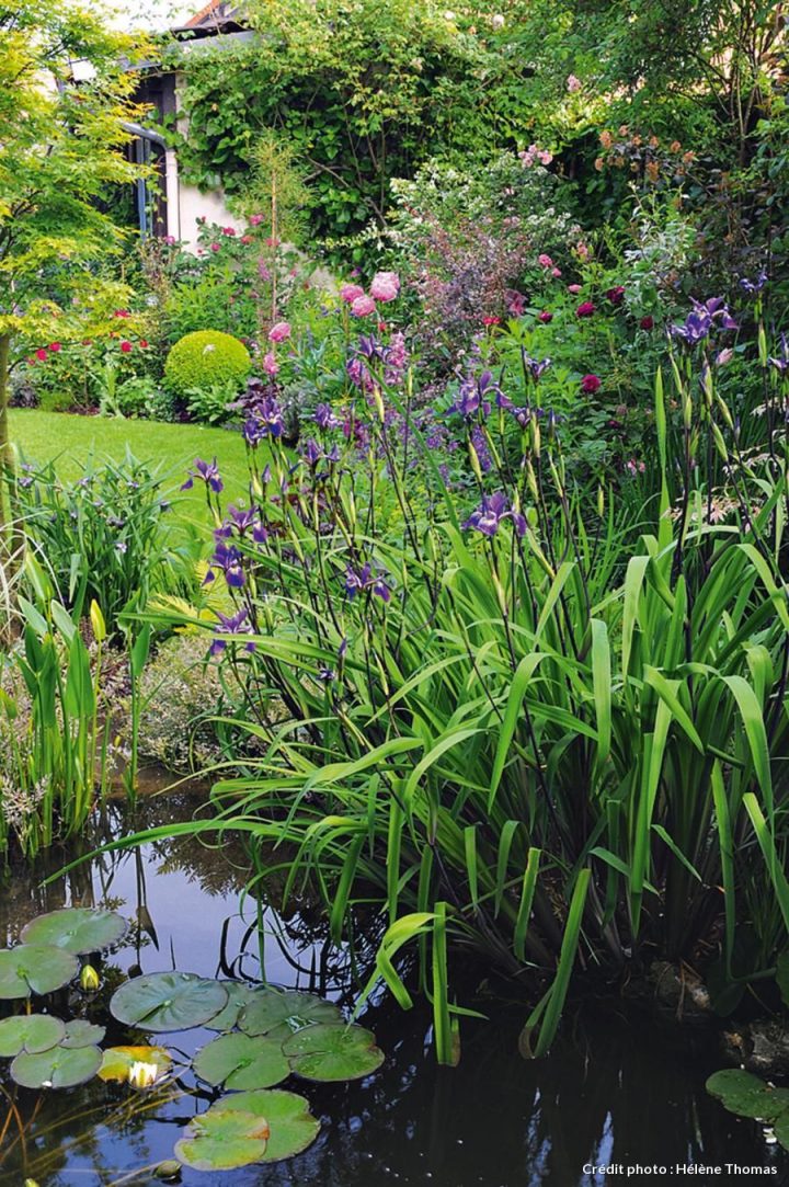 Un Jardin Boudoir En Ville | Jardins, Joli Jardin Et Beaux … avec Plante Bassin De Jardin