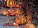 Un Jardin Décoré Pour Halloween #pumpkindecorating Deco ... pour Deco Jardin Halloween