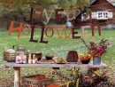 Un Jardin Décoré Pour Halloween | Shake My Blog serapportantà Deco Jardin Halloween