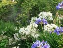 Un Massif Fleuri Plein De Couleurs Pendant Six Mois - Elle ... pour Astuce Deco Jardin Recup