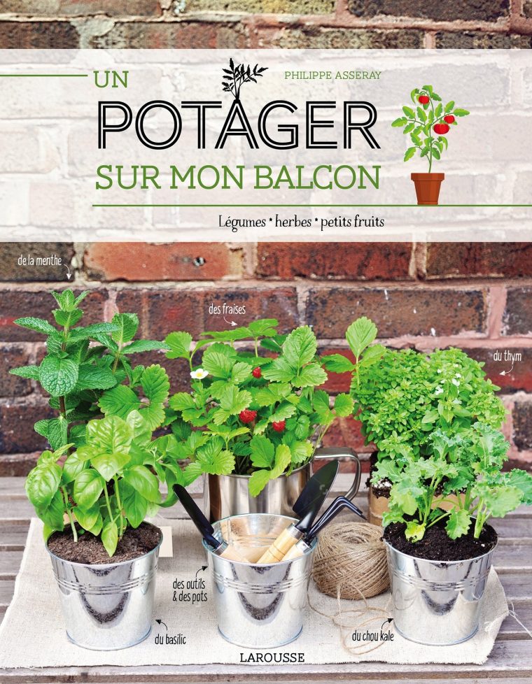 Un Potager Sur Le Balcon ? – Lecture, Cuisine Et Photographie intérieur Mini Jardin Balcon