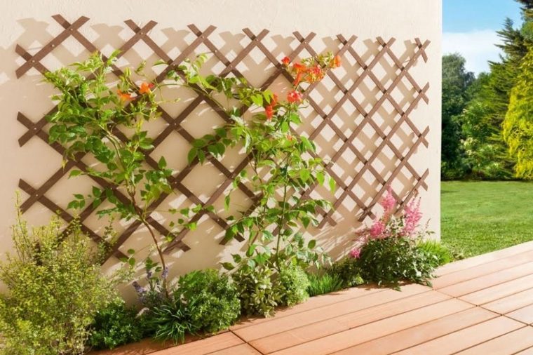 Un Treillis Pour Un Joli Mur Végétal : Balcons Et Terrasses … encequiconcerne Decoration Pour Mur Exterieur De Jardin