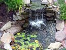 Une Cascade D'eau Dans Un Bassin De Jardin Parfaitement ... concernant Petit Jardin Avec Bassin