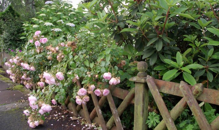 Une Clôture En Bois – Le Cottage De Gwladys serapportantà Petite Barriere Jardin