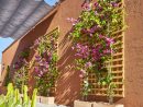 Une Terrasse Comme À Marrakech En 2020 | Deco Mur Exterieur ... à Amenagement Mur Jardin