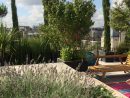 Urban-Green - Un Jardin À Vos Fenêtres, Paysagiste Paris à Terrase De Jardin