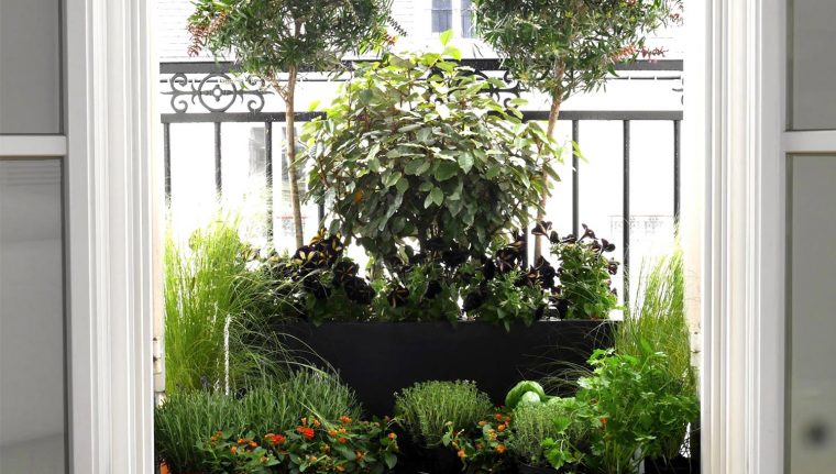 Urban-Green – Un Jardin À Vos Fenêtres, Paysagiste Paris destiné Jardin Urbain Balcon
