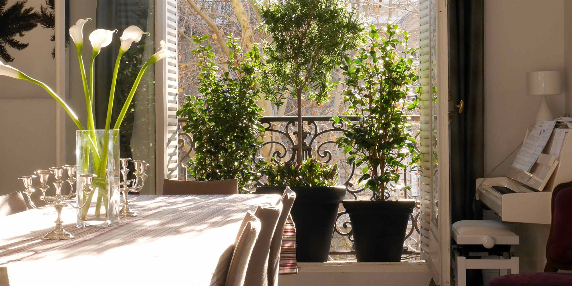 Urban-Green - Un Jardin À Vos Fenêtres, Paysagiste Paris pour Mini Jardin Balcon